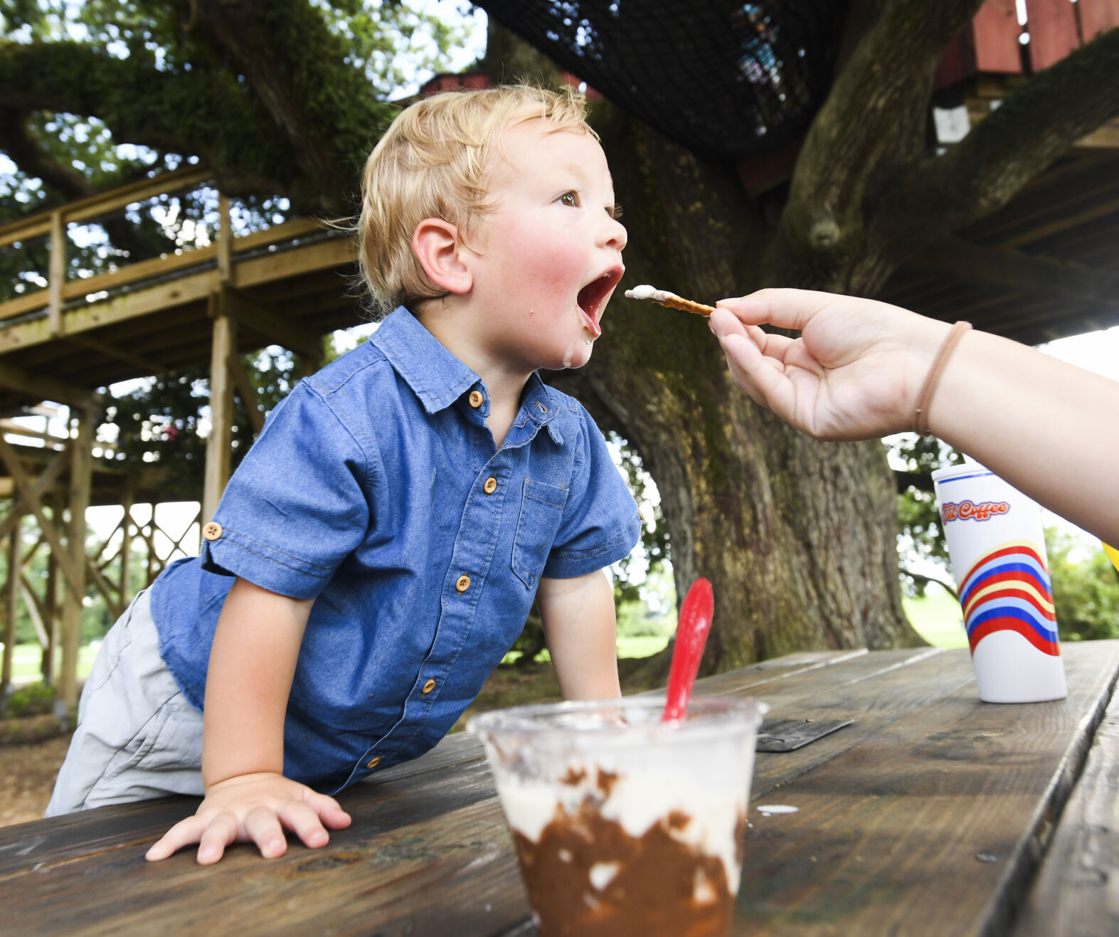 ACA.icecreamday.adv.232.jpg